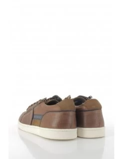 Redskins Baskets De Ville Homme Distrait Marron -Magasin De Chaussures o841 2p redskins 2